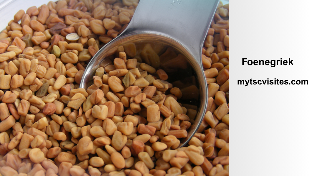 Foenegriek: A Complete Guide to Benefits, Uses, Nutrition, and Modern Health Insights