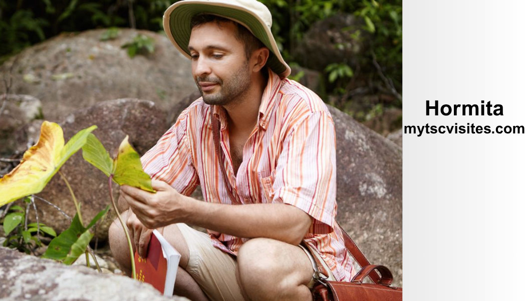 Hormita The Complete Guide to a Natural Water Purification Solution and Sustainable Future