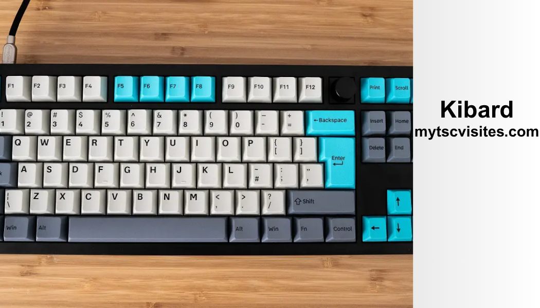 Kibard: A Complete Guide to Modern Input Devices, Uses, Benefits, and Future Trends