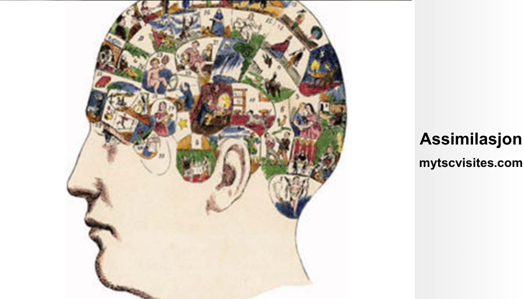 Assimilasjon: Meaning, Types, Examples, Effects, and Modern Society